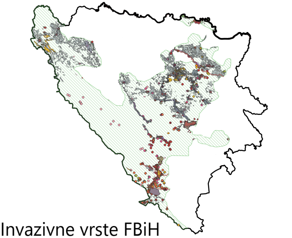 Mapa Invazivnih vrsta u FBiH